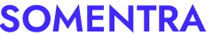 Somentra Design Agency Demo
